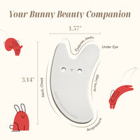 Thumbnail for Pocket Bunny Set